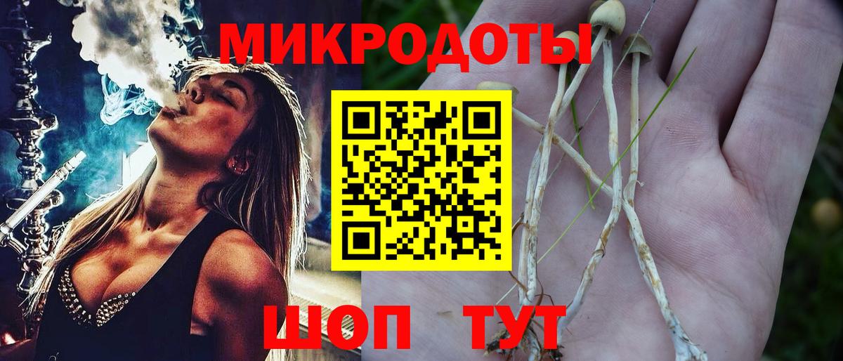 Псилоцибиновые грибы Psilocybine cubensis Краснокаменск